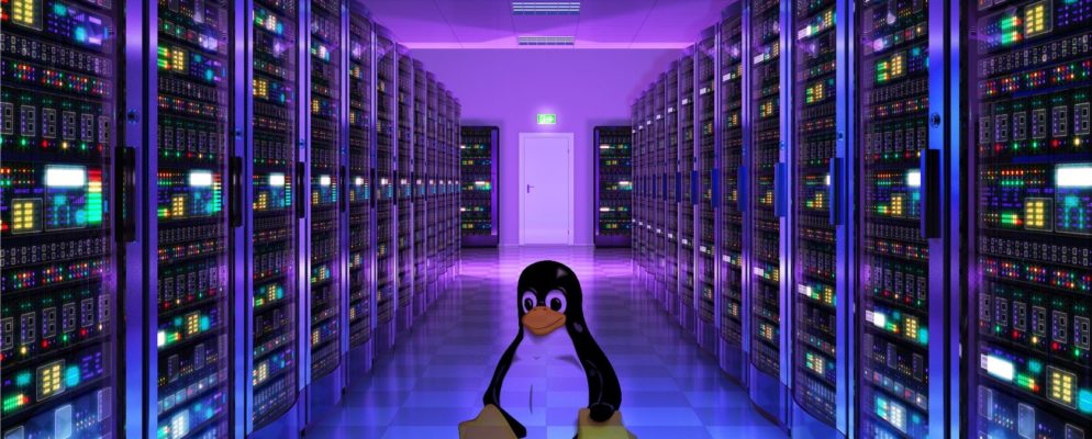 5 Reasons Why Linux VPS Hosting Is Right For You